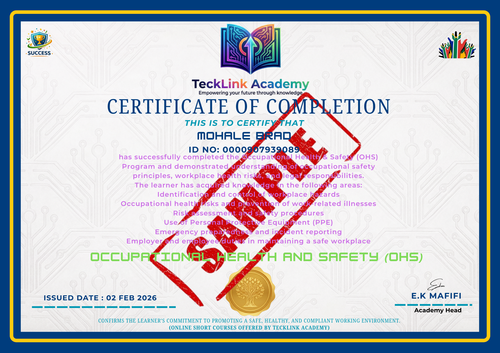 blue beige yellow illustrative sports certificate 20260213 062856 0000